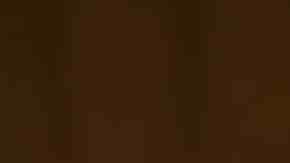 Ponche crema venezolano