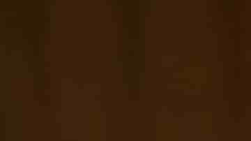 Ponche crema venezolano