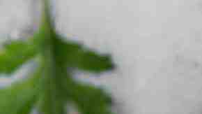 Foto de Salud creado por freepik