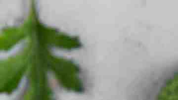 Foto de Salud creado por freepik