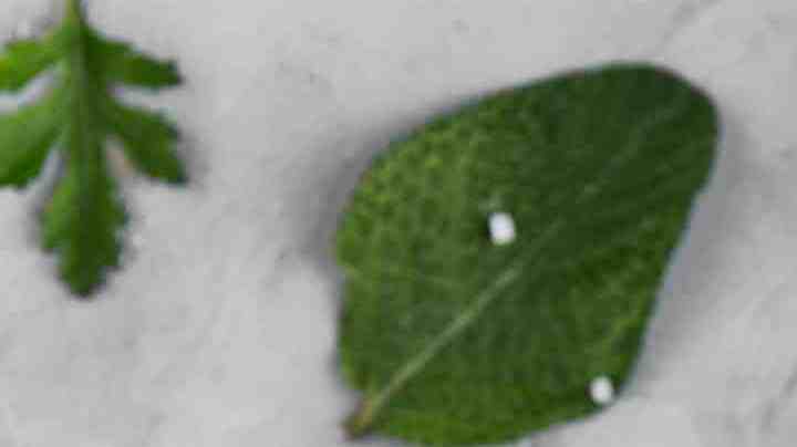 Foto de Salud creado por freepik