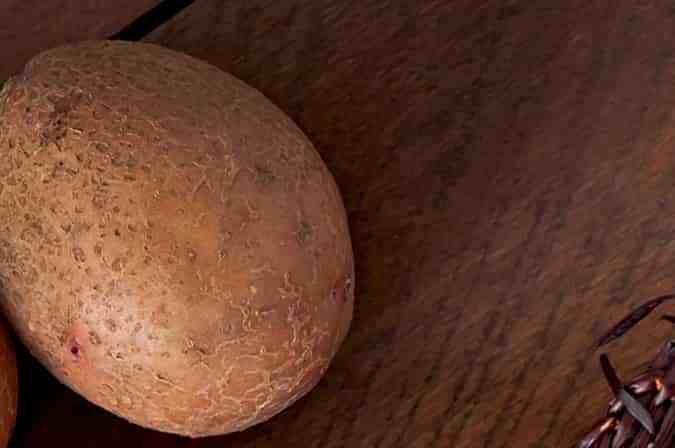 Freepik: Foto de Papa creado por timolina