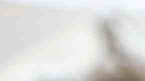 vinagre de manzana casero