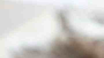 vinagre de manzana casero