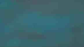 ensalada de gallina venezolana