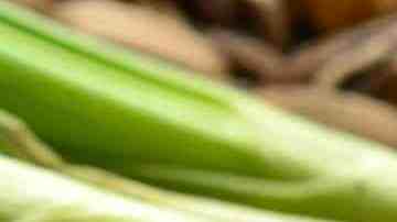 dientes de Ajo