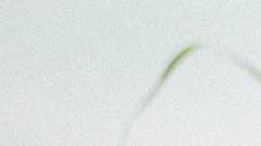 beneficios té verde