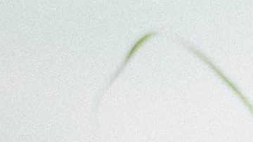 beneficios té verde