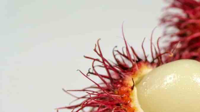 frutas exoticas rambutan