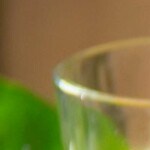 hamburguesa de lentejas