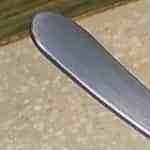 cebollitas con habanero