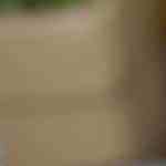 jalapeños rellenos de atún