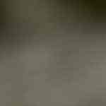 Mug Cake por Pixabay