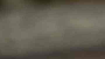 Mug Cake por Pixabay