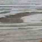 pan para hamburguesa