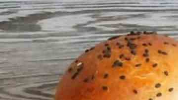 pan para hamburguesa