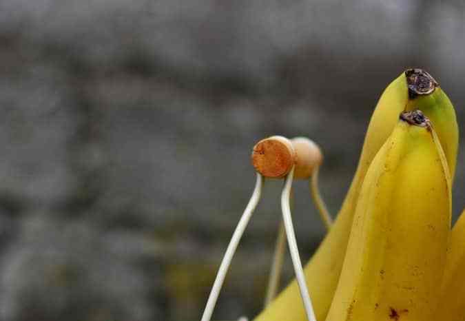 plátanos en canasta