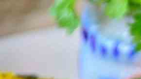 plato de comida vegetariana