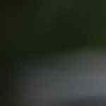 almejas a la marinera