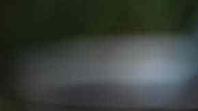 almejas a la marinera