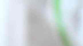 día de las almendras