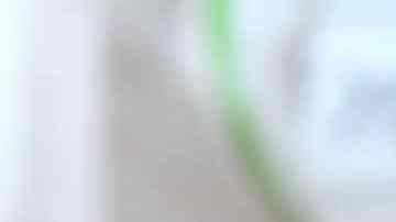 día de las almendras