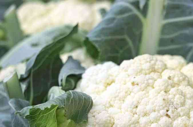 coliflor
