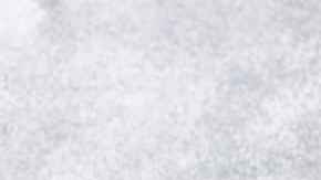 Champiñones rellenos