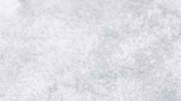 Champiñones rellenos