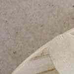 paletas de vainilla con chocolate