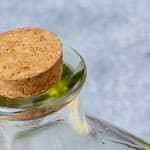 plato con pollo a la crema