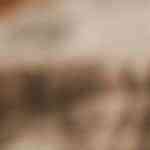 plato con rollitos de jamón y queso empanizados