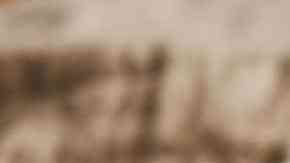 plato con rollitos de jamón y queso empanizados