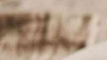 plato con rollitos de jamón y queso empanizados