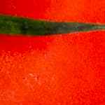 plato con salsa de chiles