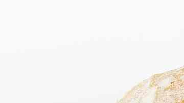 sandwich de pollo a la plancha