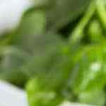 torta pascualina sobre tabla