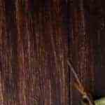 sartén con huevos, papas y aguacates