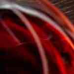 champiñones rellenos