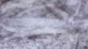 Flan de taza en microondas