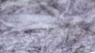 Flan de taza en microondas