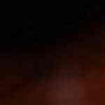 plato con mejillones en salsa