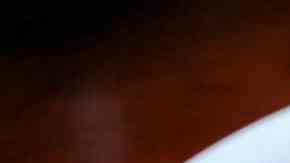 plato con mejillones en salsa