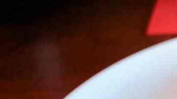 plato con mejillones en salsa