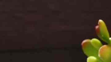 rebanada de niño envuelto