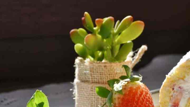 rebanada de niño envuelto