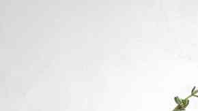 plato con pollo cajún