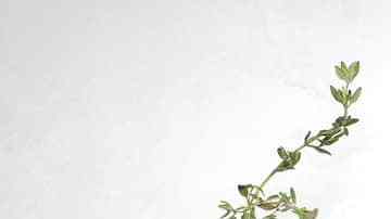 plato con pollo cajún