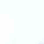 plato con salsa amatriciana