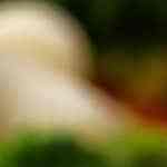 bowl con salsa bearnesa